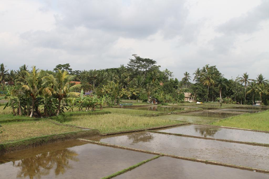 Villa Kami Ubud Exterior foto